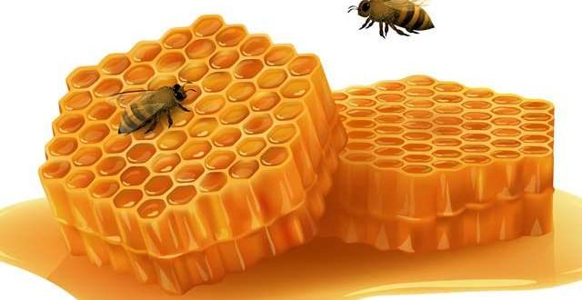 افضل انواع العسل في تركيا