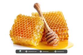 بيع العسل بالجملة