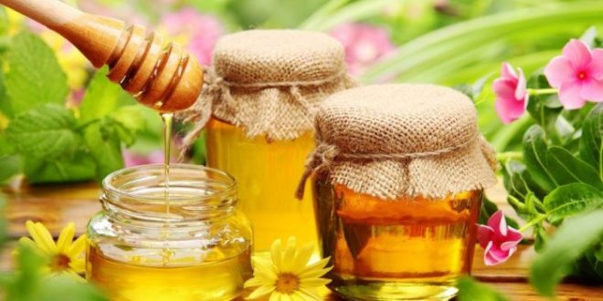 تجارة العسل الطبيعي
