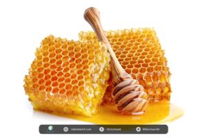 دراسة جدوى مشروع تجارة العسل الاصلي