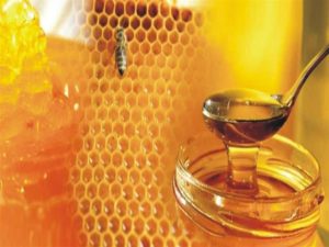تجارة العسل الطبيعي في المملكة